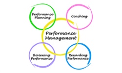 Trends in Performance Management and Pay Programs